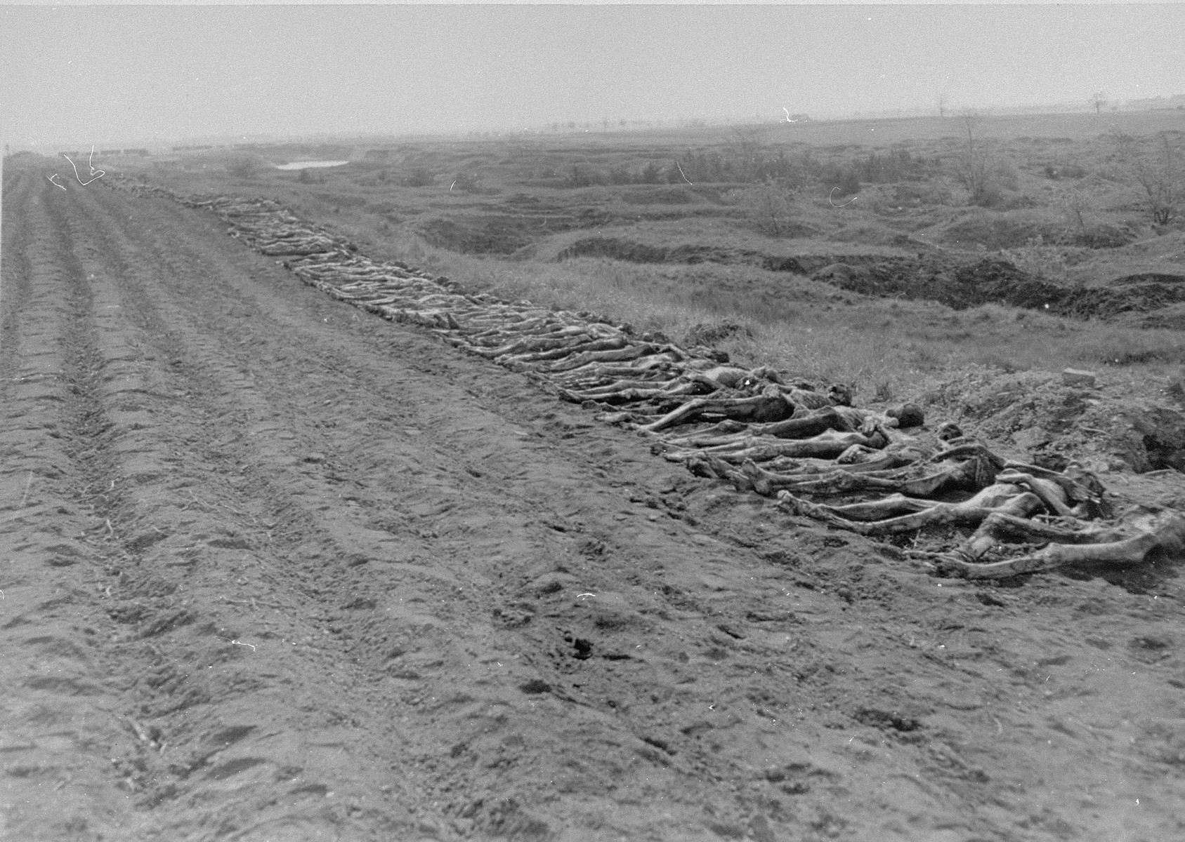 Corpses exhumed from a mass grave in Ploemnitz ("Leau" after 10 October 1944), a sub-camp of Buchenwald.