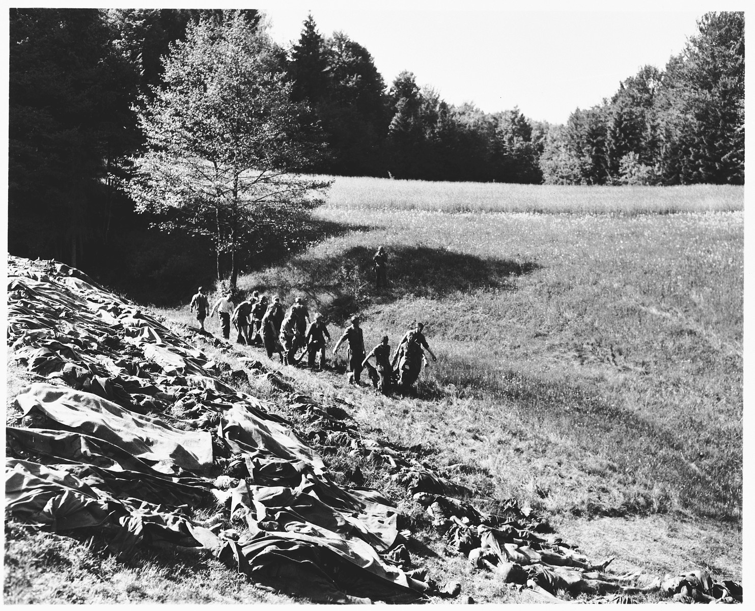 German prisoners of war from a nearby internment camp carry corpses exhumed from a mass grave near Nammering to a hillside where they will be shown to local townspeople.