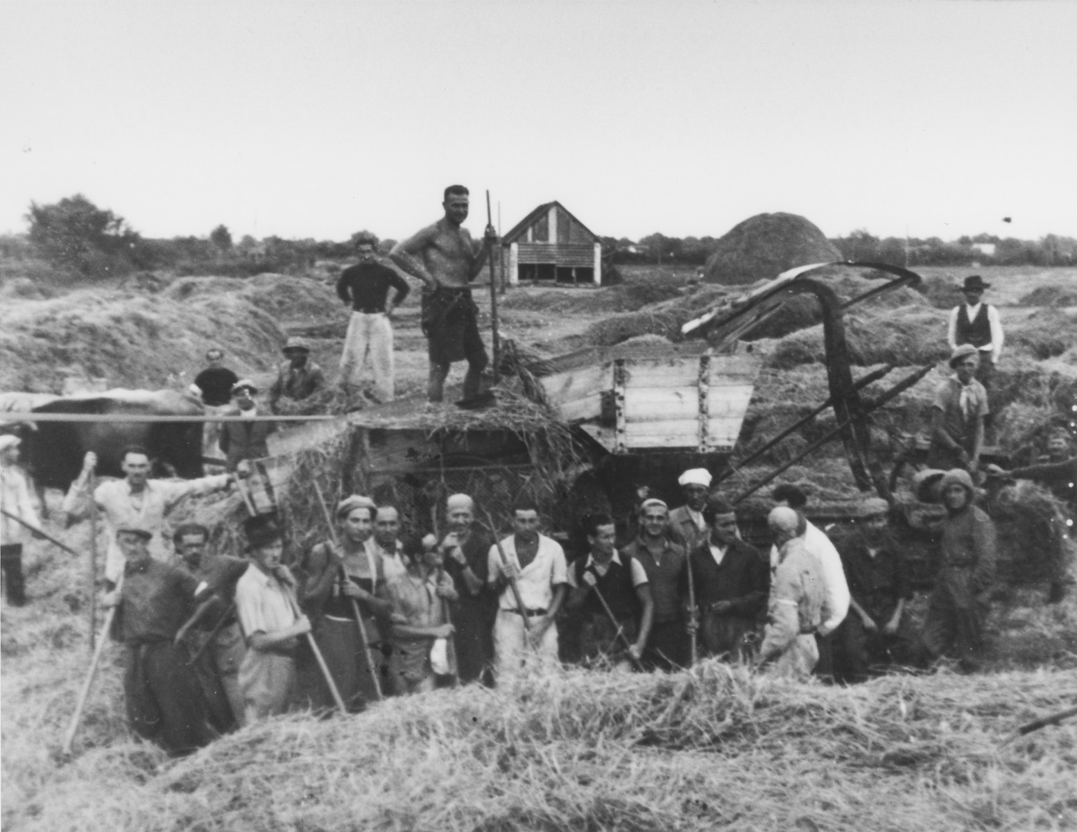 Group portrait of Jewish prisoners mowing hay in the Sabac concentration camp.

Among those pictured is Walter Fink.