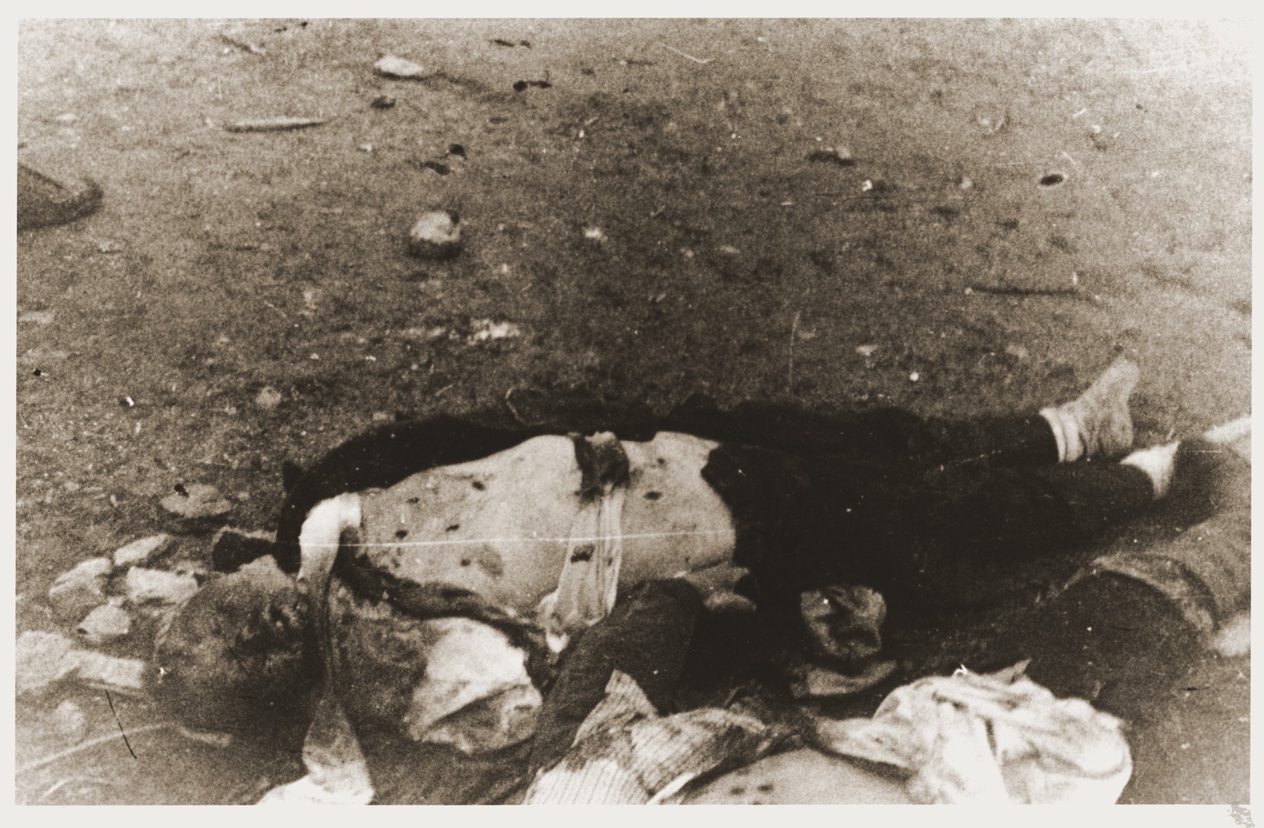 Corpses in a death train in Dachau. - Collections Search 