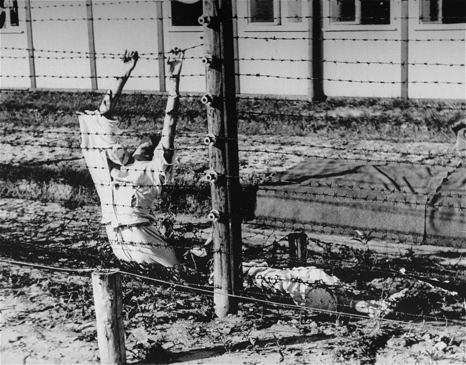 The bodies of two Dutch Jews who committed suicide by touching the high-tension fence in Mauthausen.