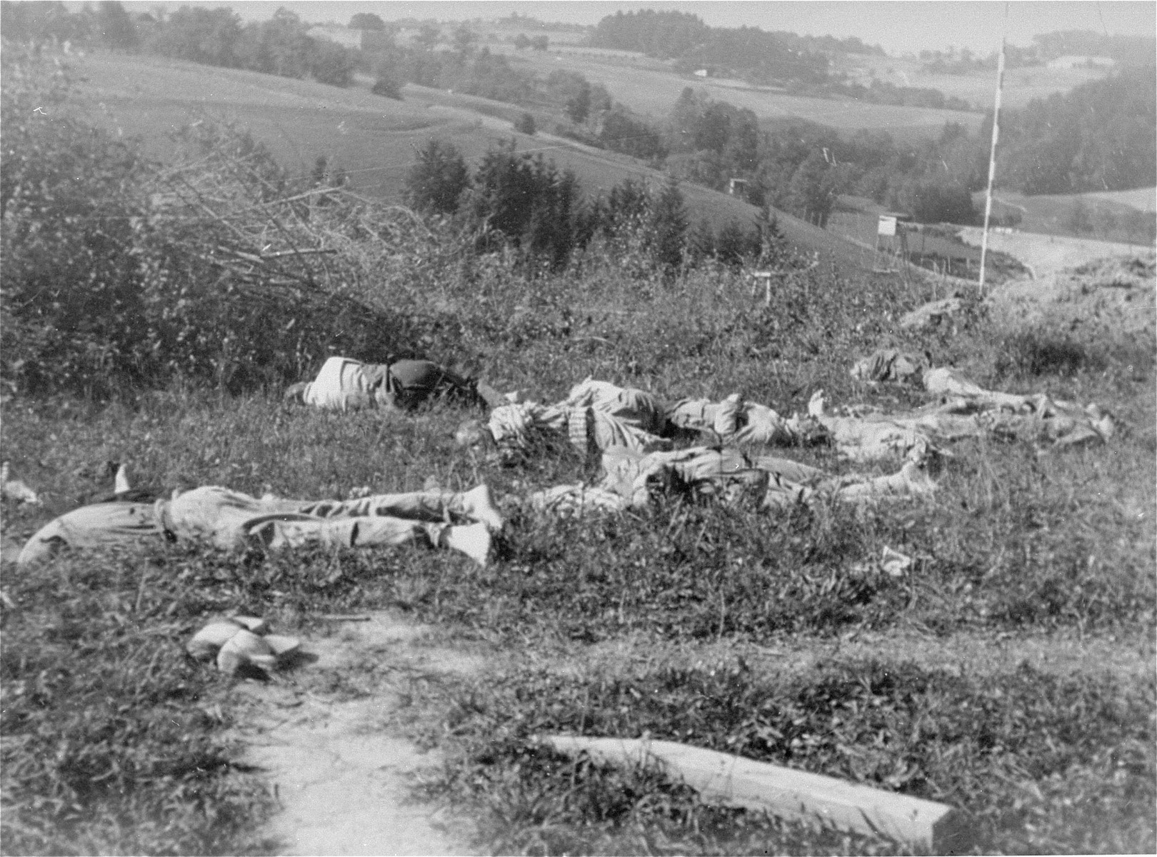 The corpses of fourteen Czech intellectuals shot by the SS in Mauthausen.