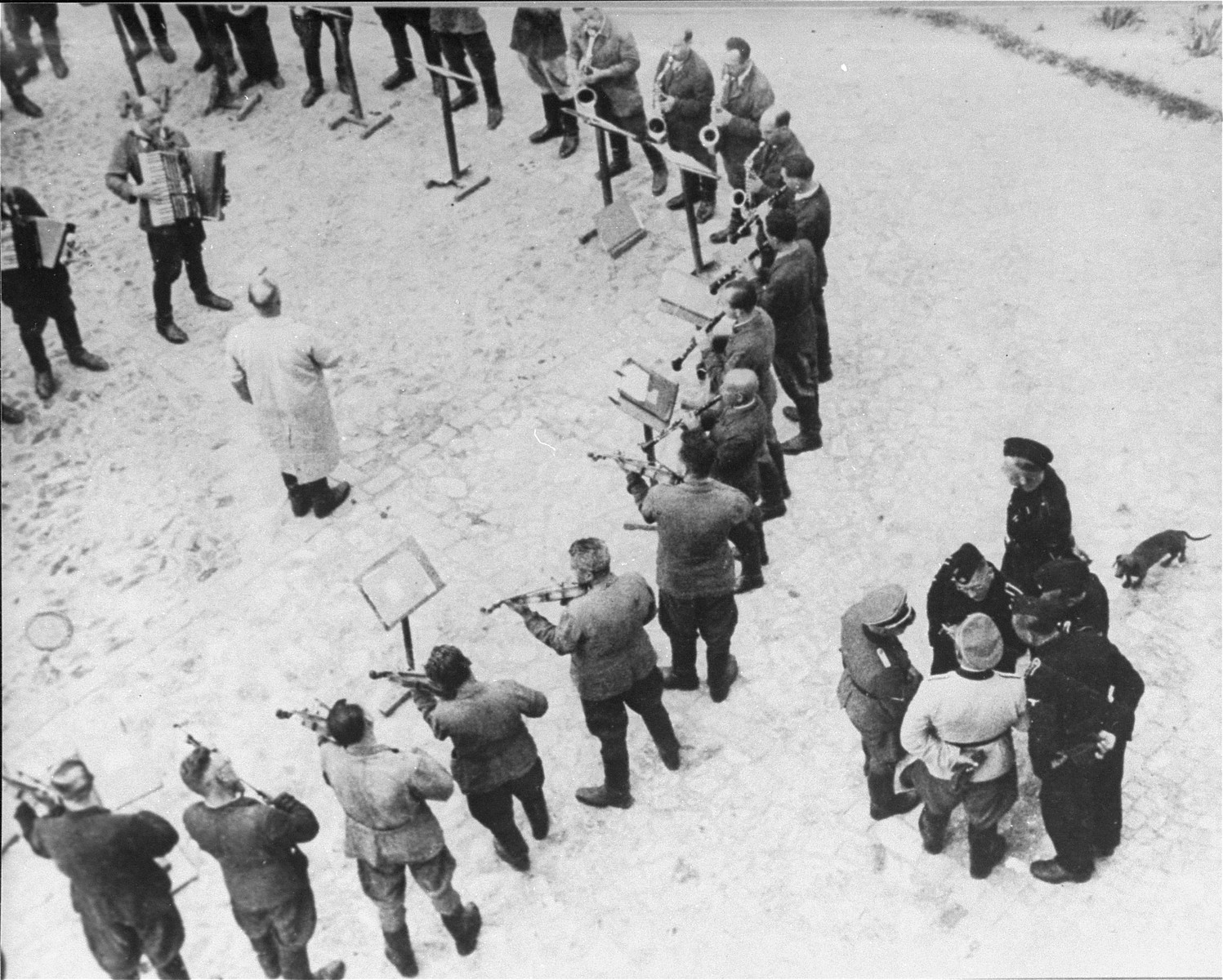 Members of the orchestra at the Janowska concentration camp perform while standing in a circle around the conductor, Yacub Mund,  in the Appelplatz [roll call area].  

Pictured at the right, in the light uniform, is camp commandant SS Haupsturmfuehrer Fritz Gebauer.  The taller officer is camp commander SS Obersturmfuehrer Gustav Wilhaus with his dachshund.

The Janowska orchestra included some of the leading Jewish musicians in Lvov, among them violinist Leonid Stricks and cellist Leon Eber.  The SS forced the orchestra to perform during selections and actions and even "commissioned" a special composition to be played on these occasions.  Entitled "Todestango" [Tango of Death], the piece was composed by Yakub Munt (sp?), former director of the Lvov opera.  The music was based on an earlier work by Eduardo Bianco.  The members of the orchestra met their end in 1943 when they were shot to death by their overseers while playing their instruments.