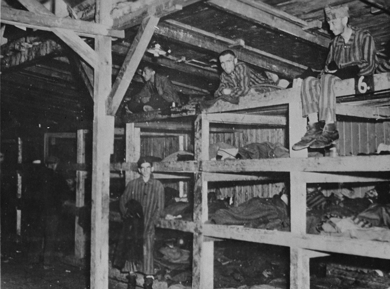 concentration camp bunks