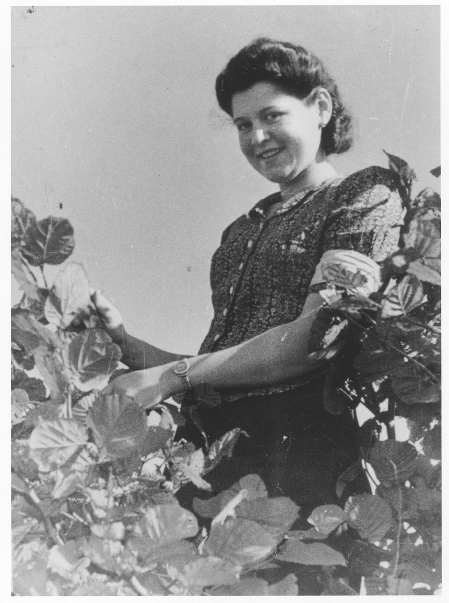 Portrait of a young Jewish woman wearing an armband in the Chrzanow ghetto.  

Pictured is Itka Gerstner.  She was the daughter of Josef and Jochevet Gerstner.  She had two brothers, Moshe and Mordechai.  She was born in 1924 and perished in Bergen-Belsen after liberation.  Her mother and brothers also perished.