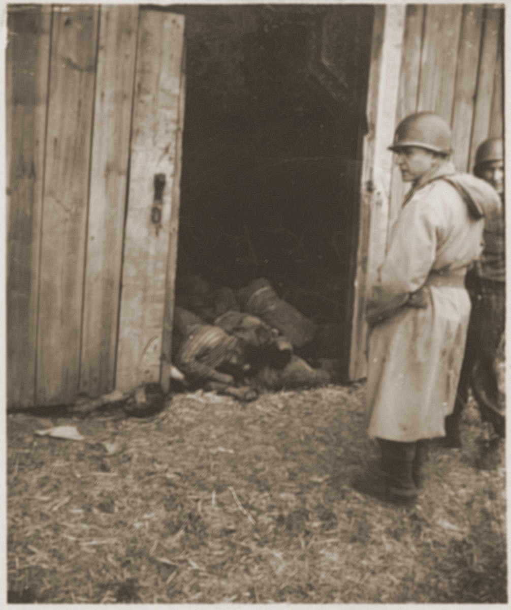 An American officer inspects the site of the Gardelegen atrocity.