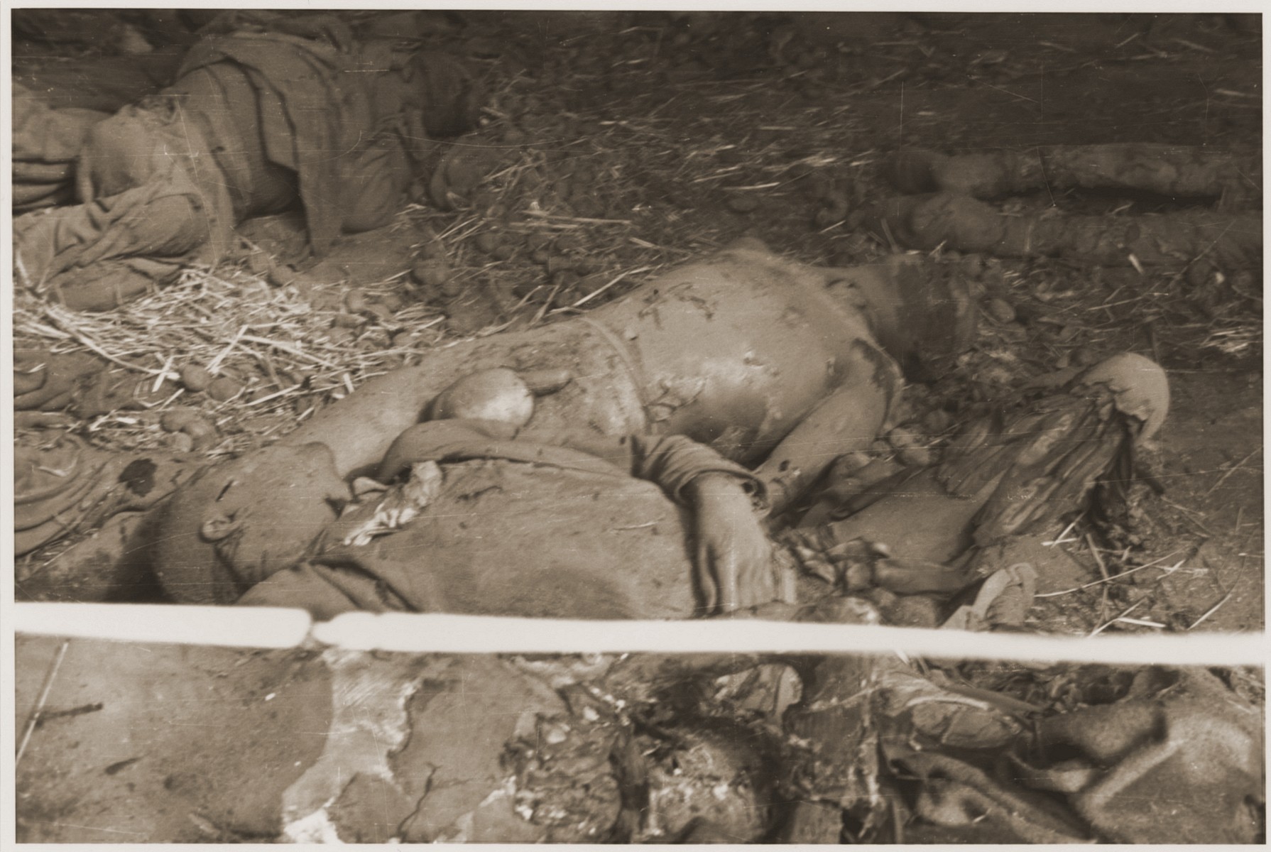 Bodies inside a barn near Gardelegen, where over 1,000 prisoners were killed by the SS.