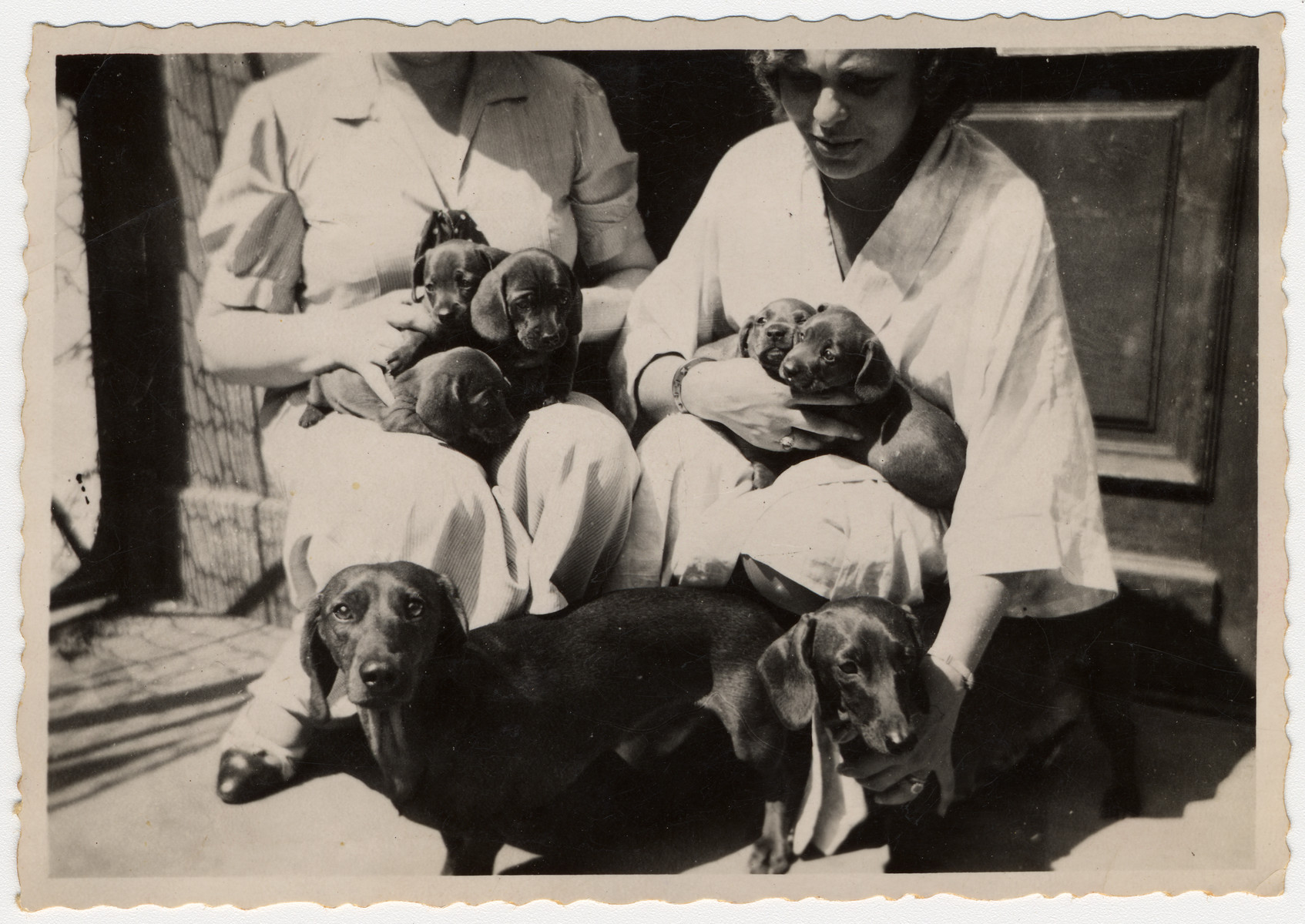 A Jewish woman in Lvov poses with a litter of puppies she is breeding.

Pictured is Lucie Lind Kitz.
