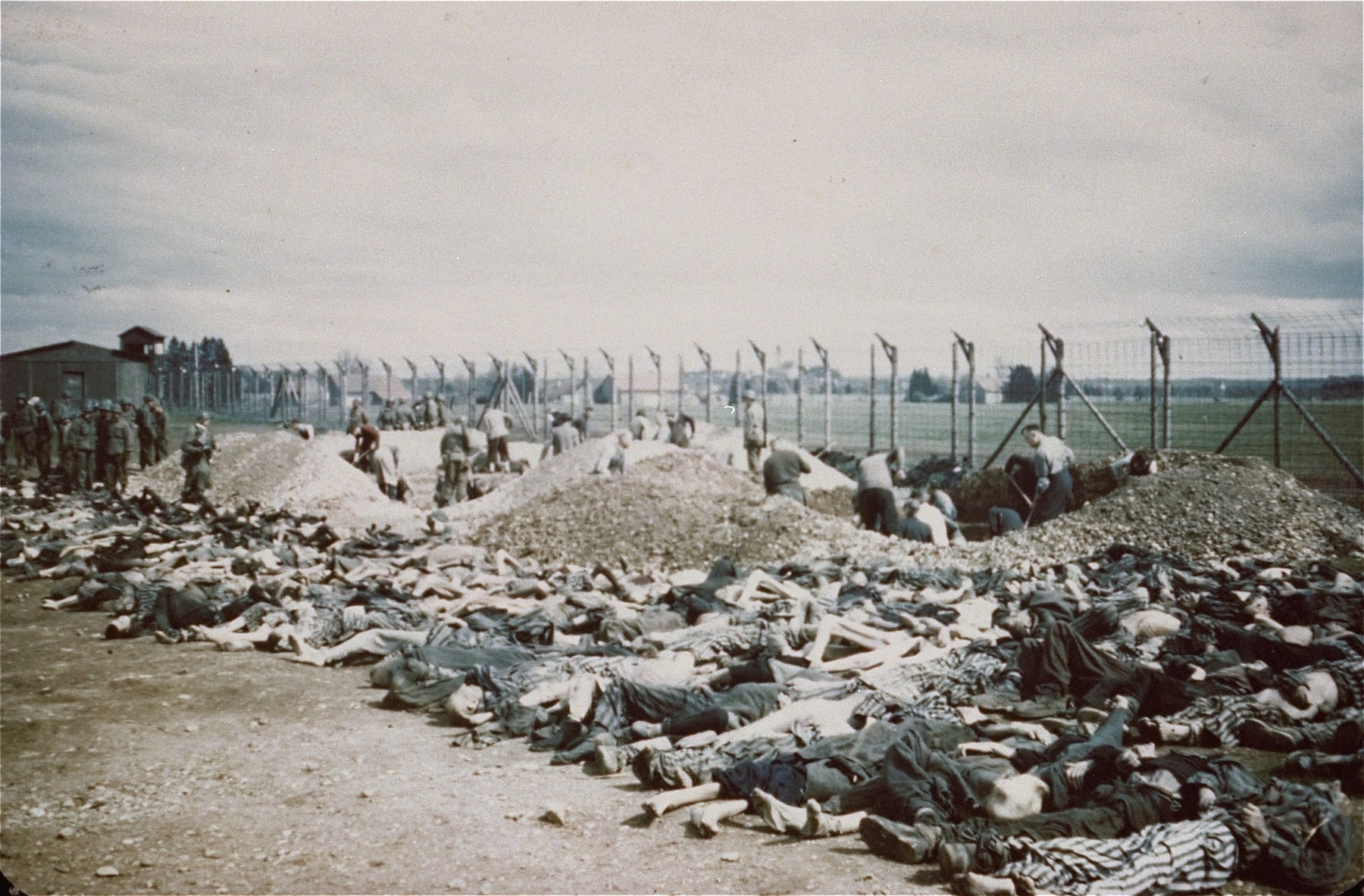 German civilians conscripted by U.S. troops from the surrounding area dig mass graves for the dead found in Kaufering IV.