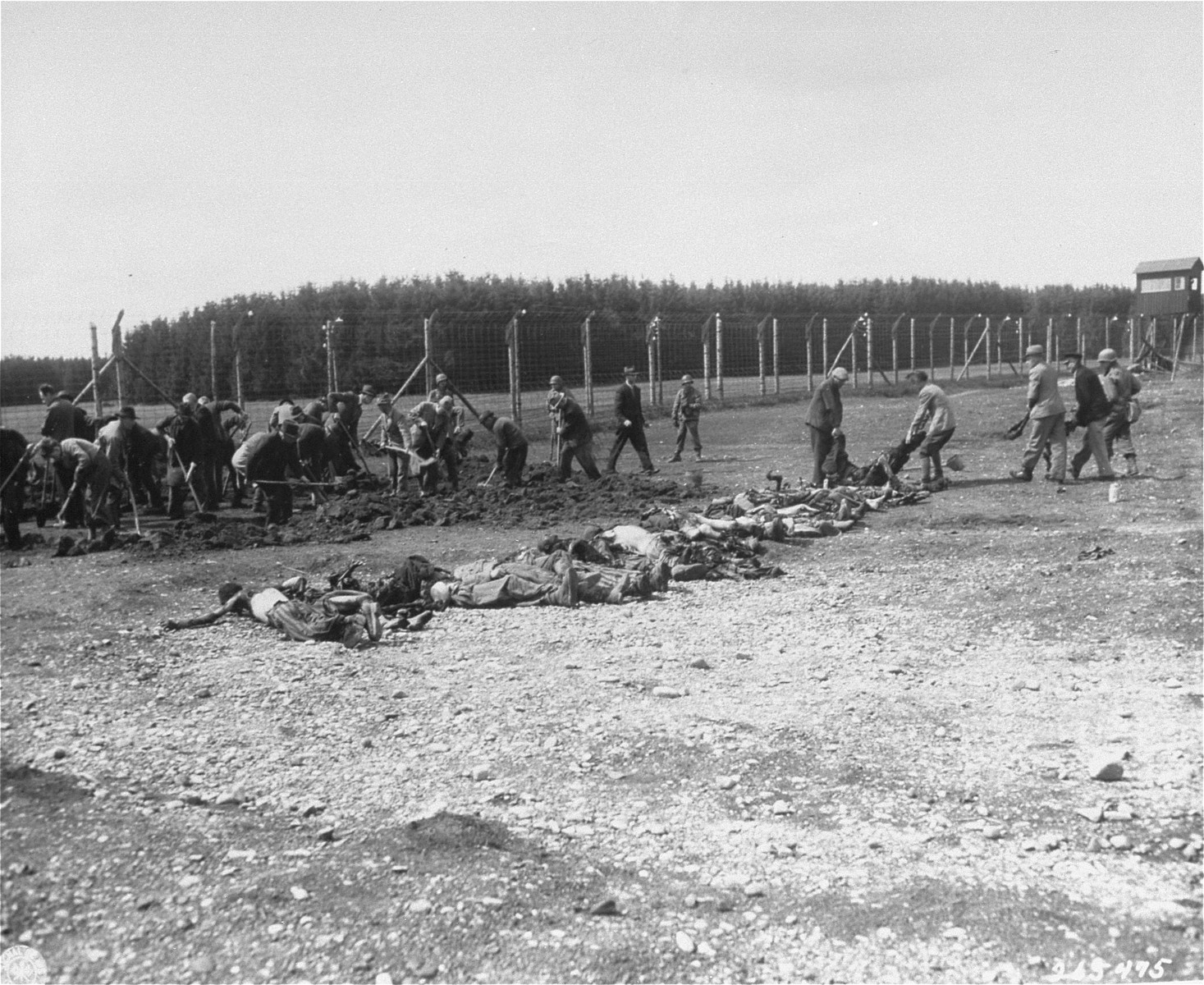 German civilians conscripted by U.S. troops from the surrounding area dig graves for the dead found in the Kaufering IV concentration camp.

Original caption reads, "German civilians from the Landsberg Germany, are digging graves of the  Stalag #4 concentration camp for political prisoners, Russians, Poles French and Jewish, starved and Burned to death by German S.S. troops, about 400 bodies were found."