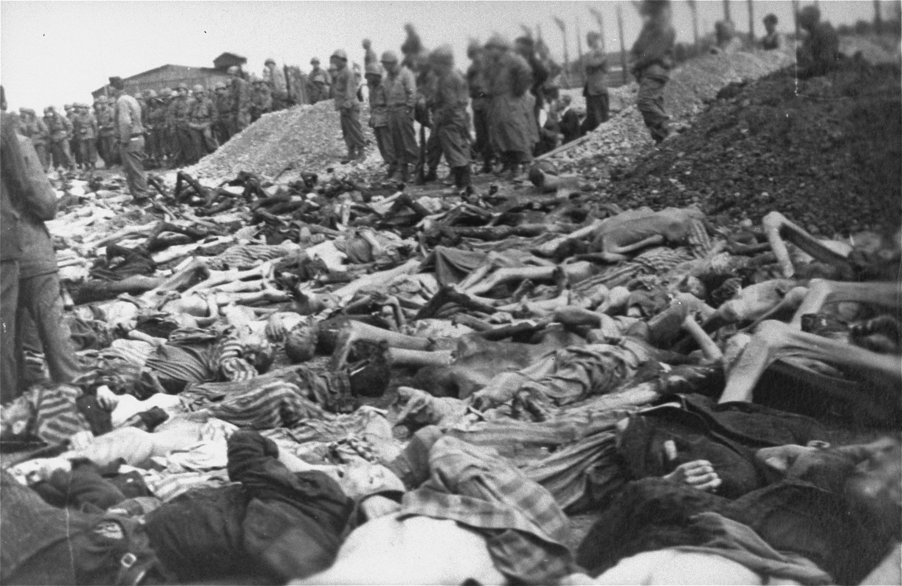American troops look at rows of corpses in the Kaufering IV concentration camp, while Germans conscripted from the surrounding area dig mass graves.