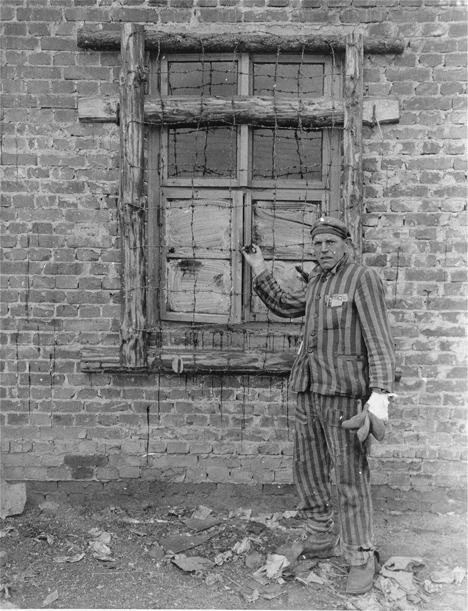 A Dutch survivor liberated in the Woebbelin concentration camp shows the photographer barbed-wire that was placed around barracks' windows to prevent escapes.