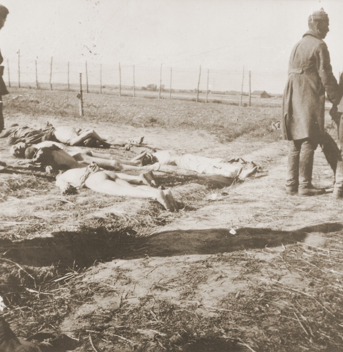 Soviet POWs moving the corpses of dead comrades to a place for burial.