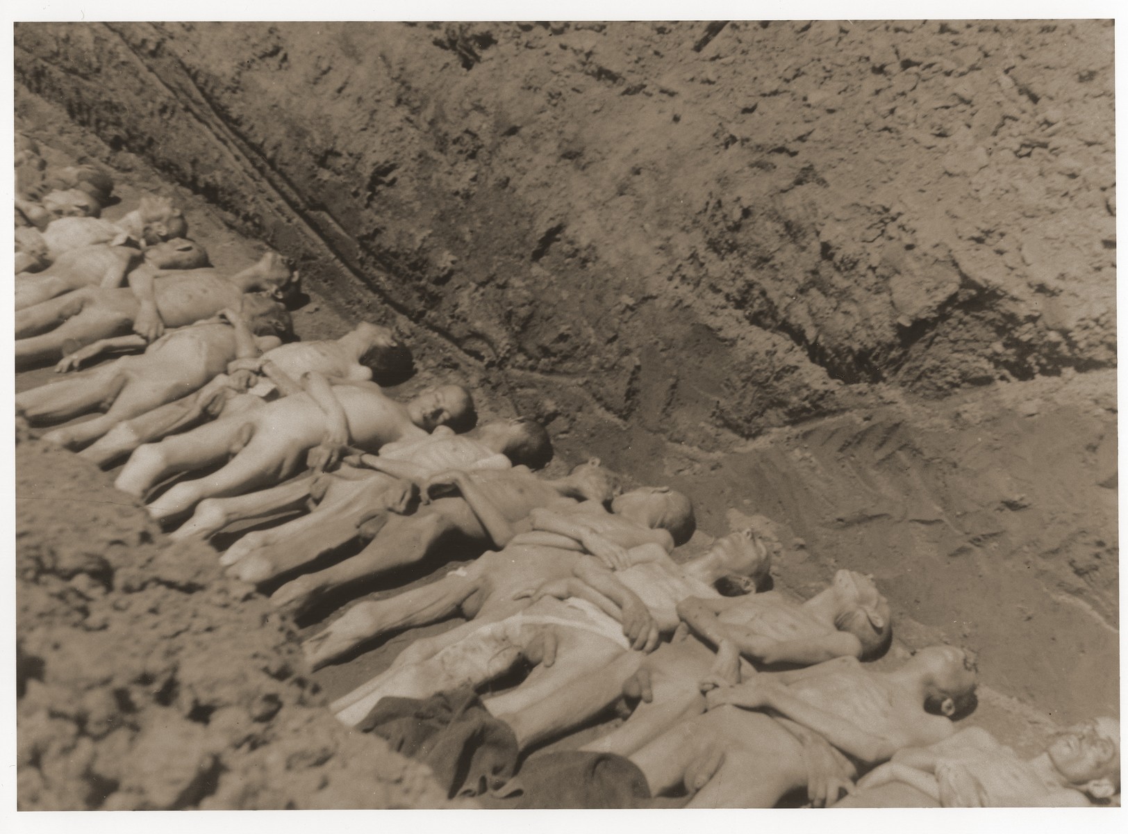 The bodies of former inmates are laid out in a mass grave in the Mauthausen concentration camp.