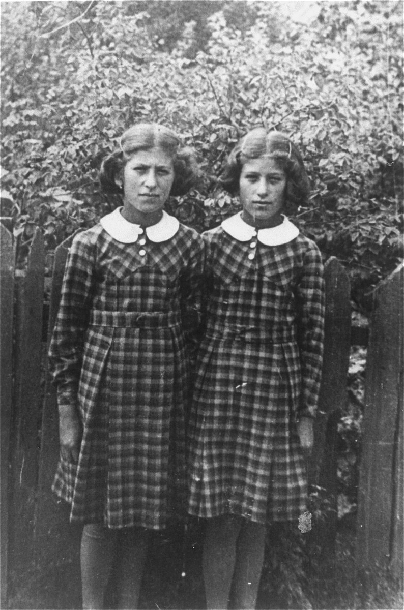 Portrait of Tebche and Sutche Fluss, the twin daughters of the donor's cousin.

Both sisters perished in the Holocaust.