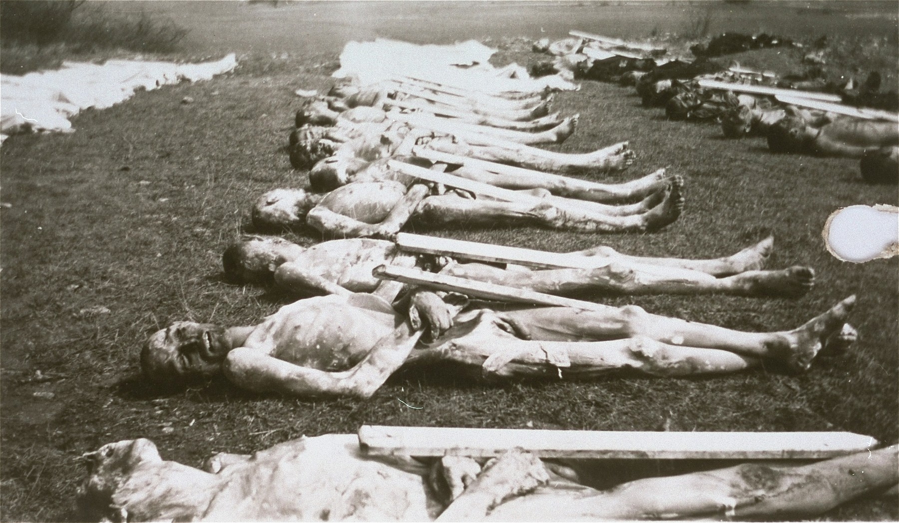 Prisoners' bodies prepared for burial.  The wooden grave markers were numbered in cases when the body could not be identified.