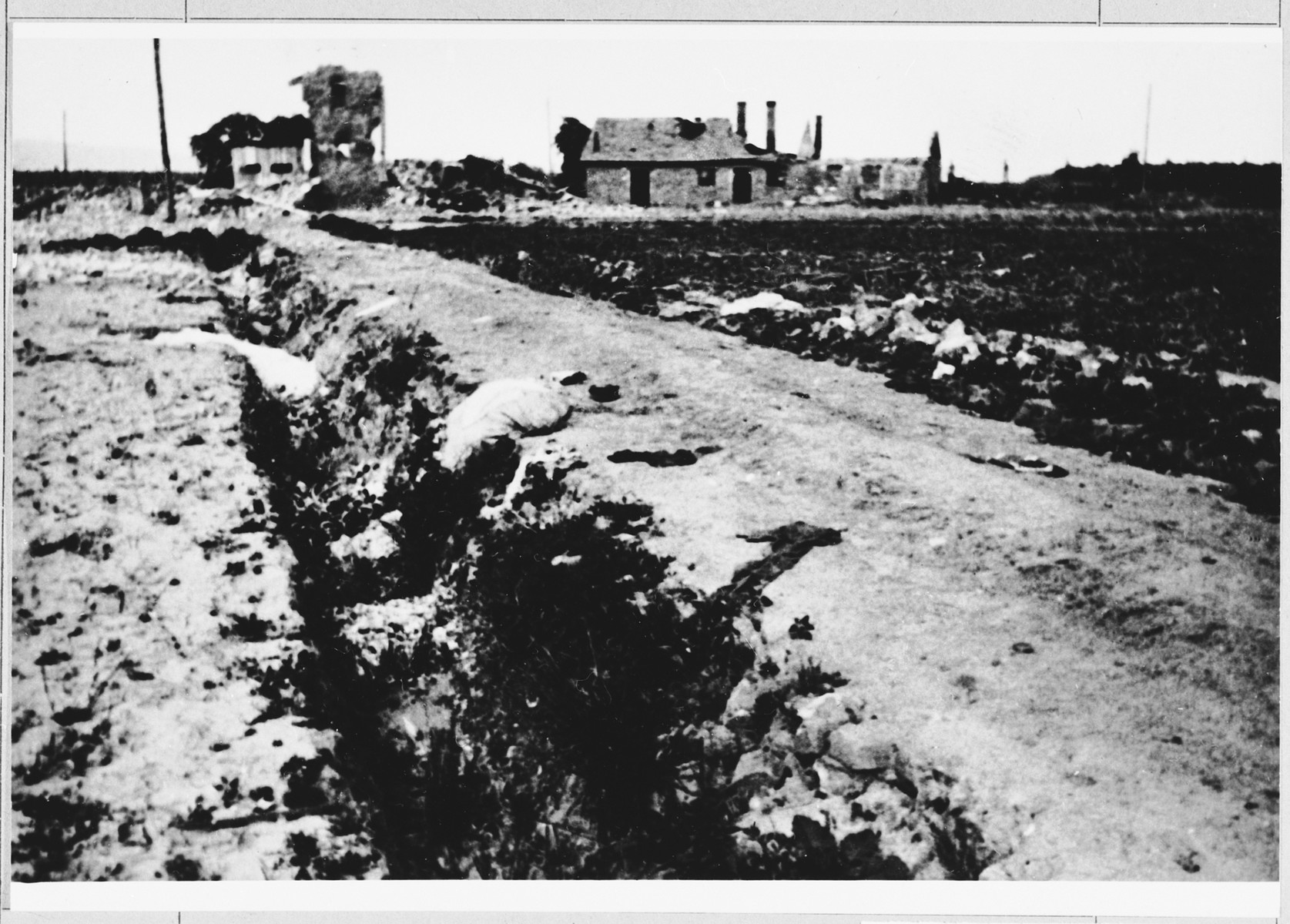 Clothing is strewn along the road leading to one of the Jasenovac concentration camps.  

On April 21, 1945 a group of female prisoners were taken out on this road.  Knowing that they were to be killed, the women threw off their clothing.