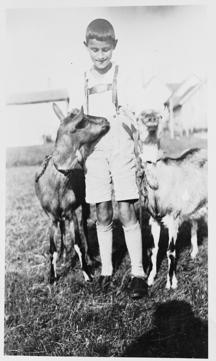 Heinz Dannhauser, a cousin of Suse Grunbaum, stands next to two goats while visiting his grandfather, a cattle-dealer.