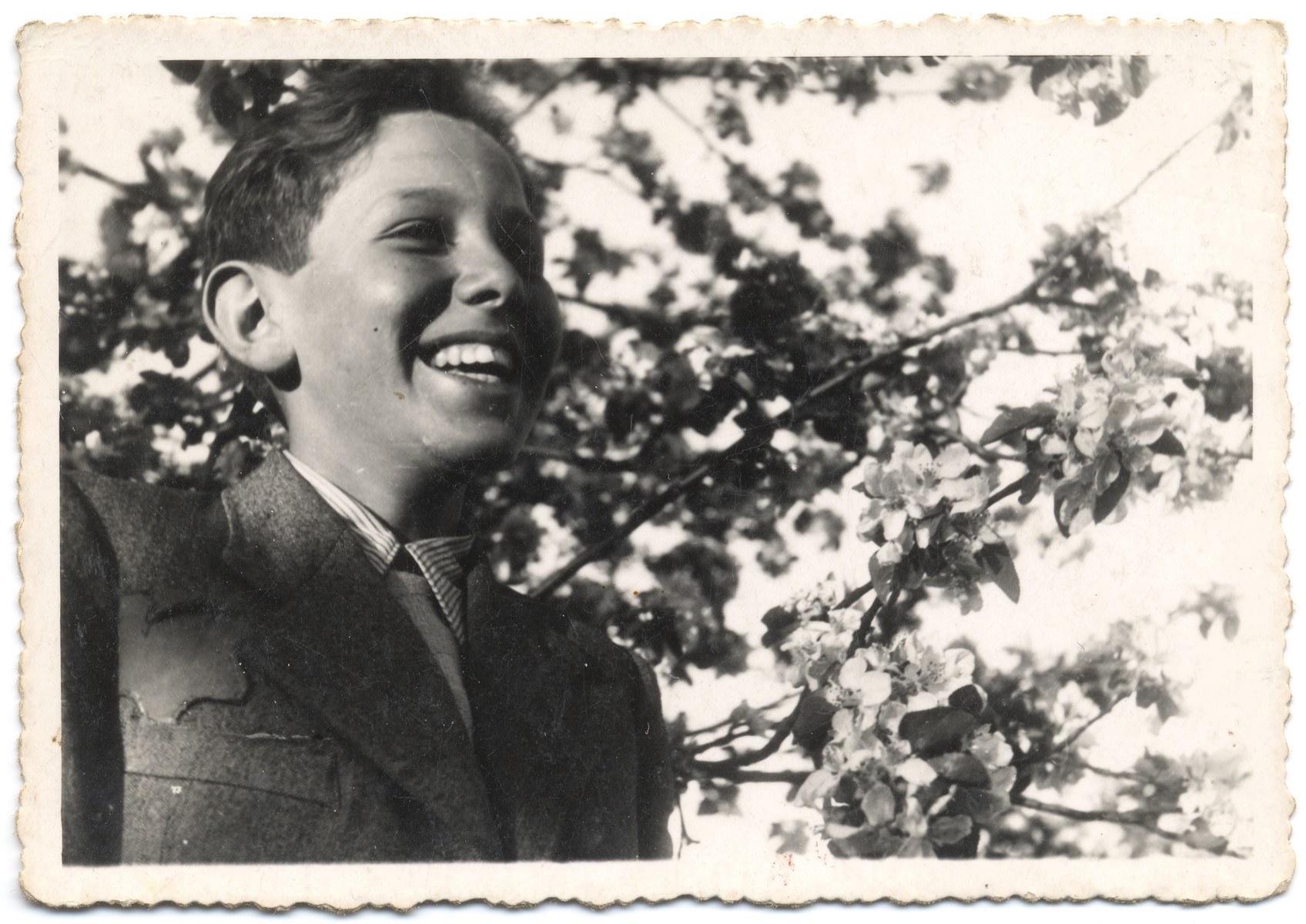 Portrait of a young Jewish teenager in the Lodz ghetto.

Pictured is Menek Fajtlowicz, the cousin of the donor.