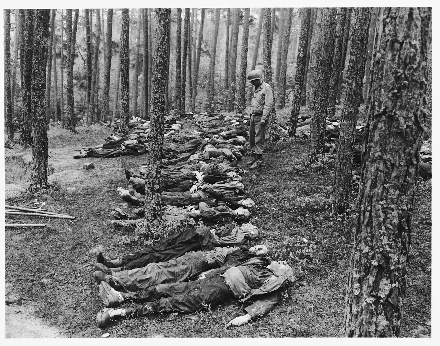 An American soldier looks at the corpses of Polish, Russian, and Hungarian Jews found in the woods near Neunburg vorm Wald.  

The victims were prisoners from Flossenbuerg who were shot near Neunburg while on a death march.