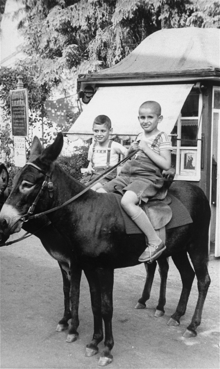 Earl, five years old, and Pavel, seven, both children of Desider and Theresa Klein, pose on donkeys.  They both perished in Auschwitz.