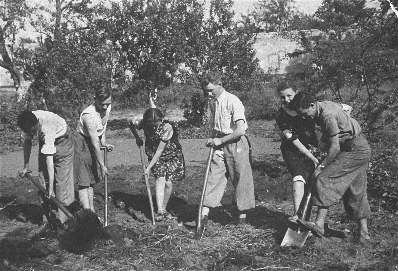 Members of the Hashomer Hatzair Zionist collective prepare the ground for planting on the farm in Zarki.

Among those pictured are: Heniek Pejsak (second from the left); Mania Kalpkop (third from the left); Lejzor Zborowski (third from the right); and Berek Lemel (first on the right).