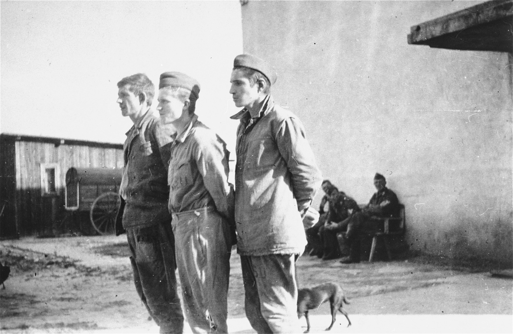 Three Soviet POWs who were captured near Wisznice, stand with their hands tied behind their back.  They were later executed in the Lyniewski Forest.