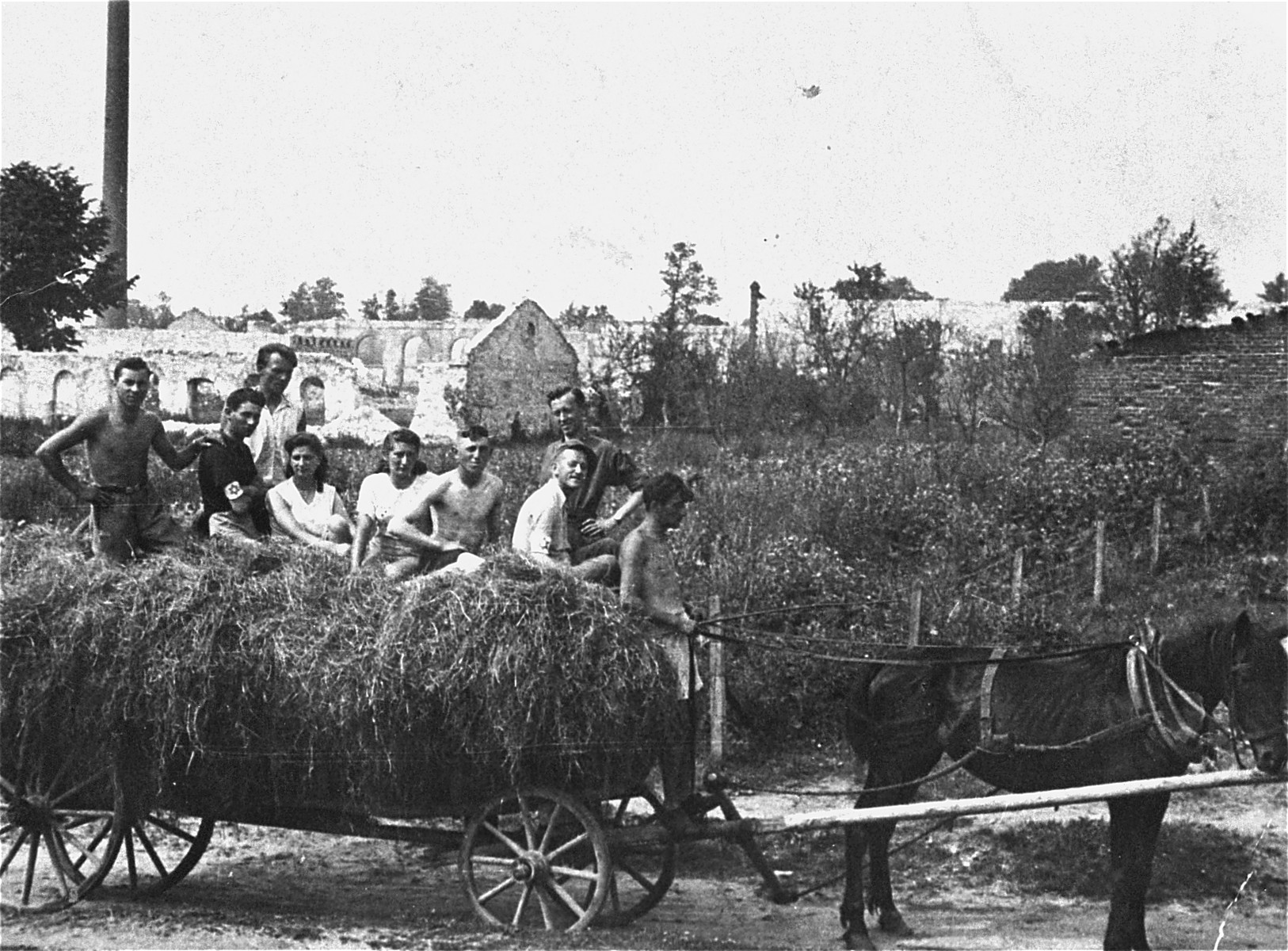 Members of the Hashomer Hatzair Zionist collective in Zarki ride on a hay wagon on their farm.  

Pictured from left to right are Motek Weinrib, Berel (Berek) Lemel, Srulek Warszawski, Lodzia Hamersztajn, Chagit Elster, Zborowski, unidentified, Arie Wilner and Avram Zilbersztajn.  The photo was taken during the visit of Arie Wilner.