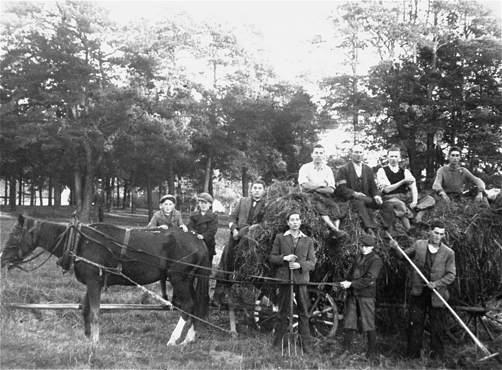 Members of the Hashomer Hatzair Zionist collective pose on a hay wagon on their farm in Zarki. 

Among those pictured are Lejzor Zborowski and Motek Weinryb.  Standing in front with the pitchfork is Arie Gutkind.