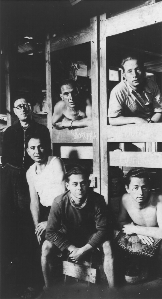 Jewish prisoners pose on their wooden bunks inside a barracks in the Beaune-la-Rolande internment camp.

Albert Sztern is pictured on the bottom bunk on the right.