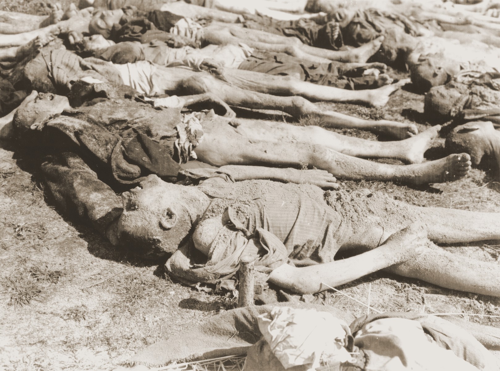 The bodies of 140 Hungarian, Russian, and Polish Jews exhumed from a mass grave near the town of Schwarzenfeld are laid out on the ground.  

The victims died while on an evacuation transport from the Flossenbuerg concentration camp.

The original Signal Corps caption reads, "THIRD U.S. ARMY DISCOVERS NAZI ATROCITY.  When troops of the 26th Infantry Division, Third U.S. Army, captured Schwarzenfeld, Germany, April 22, 1945, another story of Nazi murder and atrocity was revealed.  The Americans discovered that many hundreds of helpless persons, including Allied prisoners-of-war and Polish Jewish slave laborers, had been shot in cold blood by Nazi SS troops, and their bodies thrown into a mass grave.  The executions took place on the day before the American forces captured the town.  After making official record of the circumstances, U.S. Military Government officers ordered local German civilians to exhume the bodies and provide coffins and a civilized burial for the victims.  Schwarzenfeld is 47 miles east of Nuremburg and 28 miles west of the Czechoslovakian border.

BIPPA                                                        EA 64392

THIS PHOTO SHOWS:  This closeup of a group of the victims shows that some of the bodies are mere skin and bones, the result of prolonged under-nourishment at  the hands of the Nazis.  U.S. Signal Corps Photo ETO-HQ-45-34028.
SERVICED BY LONDON OWI TO LIST B
CERTIFIED AS PASSED BY SHAEF CENSOR