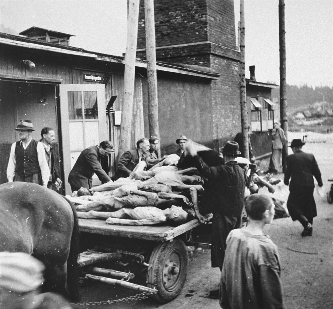 Austrian civilians stack the bodies of Ebensee prisoners onto carts for transportation to a nearby burial site.