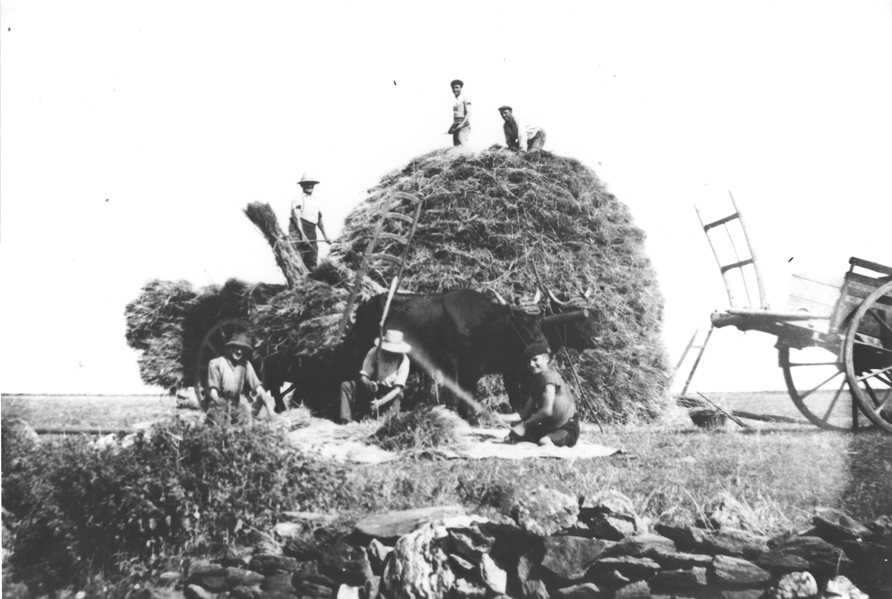 Young agricultural workers pitch hay onto a large haystack on a farm in Treves.  

Among those pictured is Julien Bluschtein, a Jewish youth in hiding.