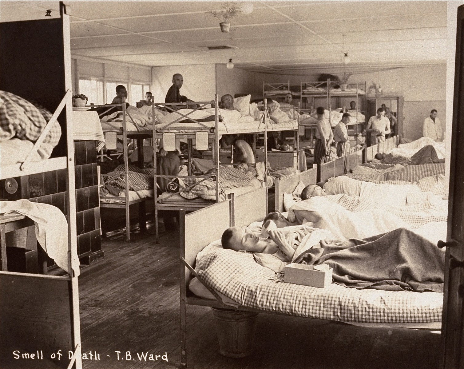 Survivors in a tuberculosis ward set up in Dachau by the U.S. Army.