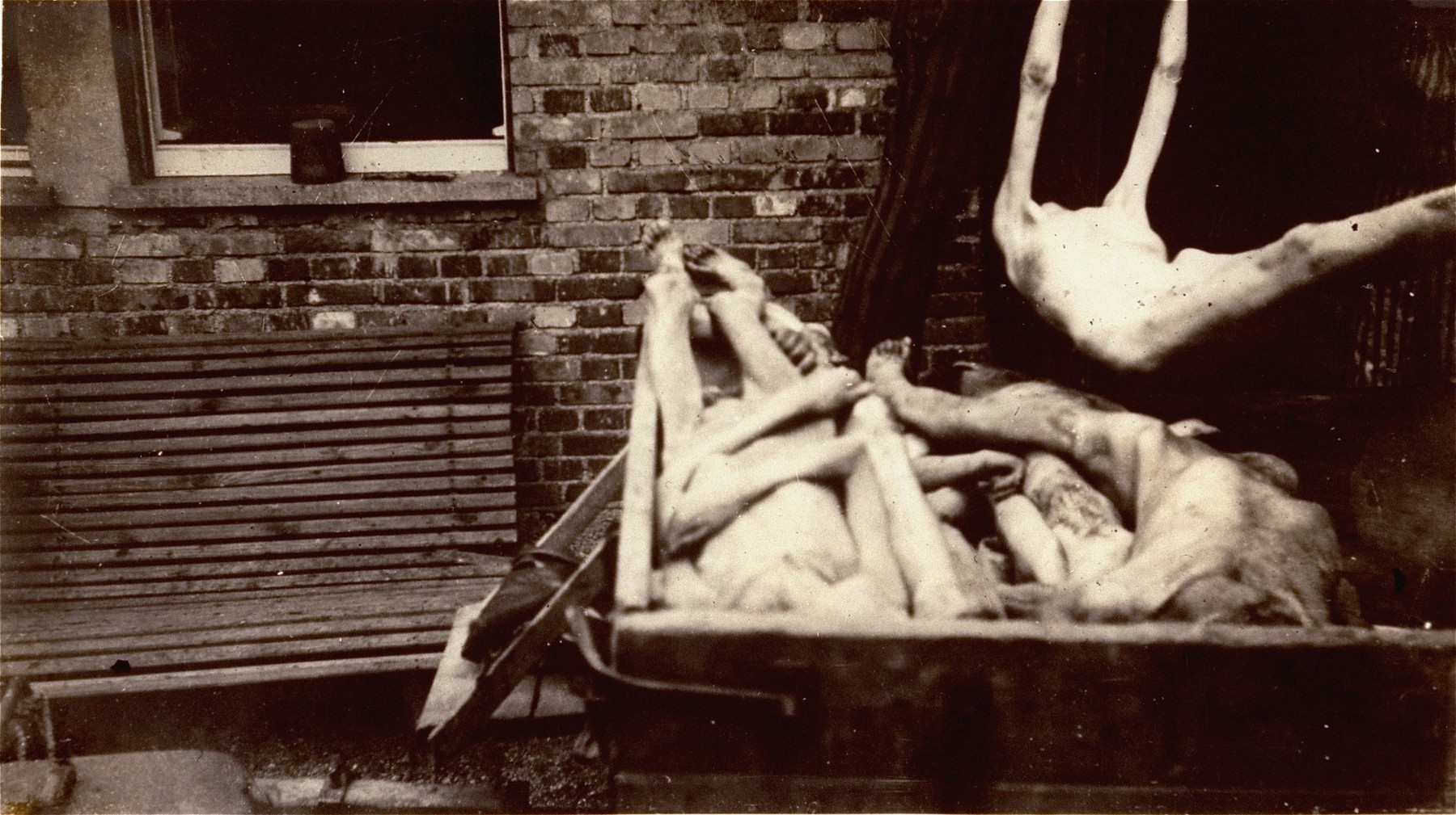 Survivors in Dachau remove bodies from the cellar of the crematorium.