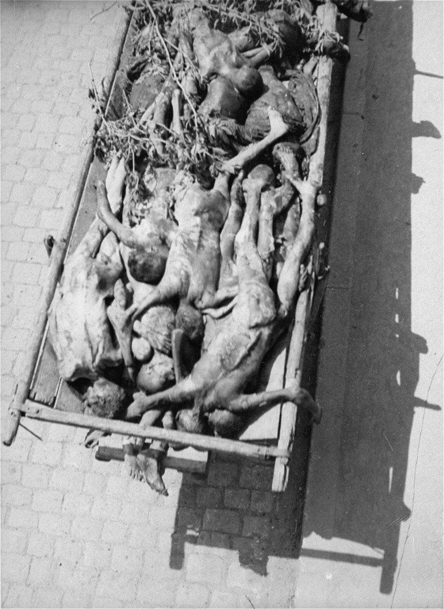 A cart laden with corpses passes through the town of Dachau on route to a nearby burial site.  Allied authorities required local farmers to drive their loaded carts through the town of Dachau as an education for the residents.