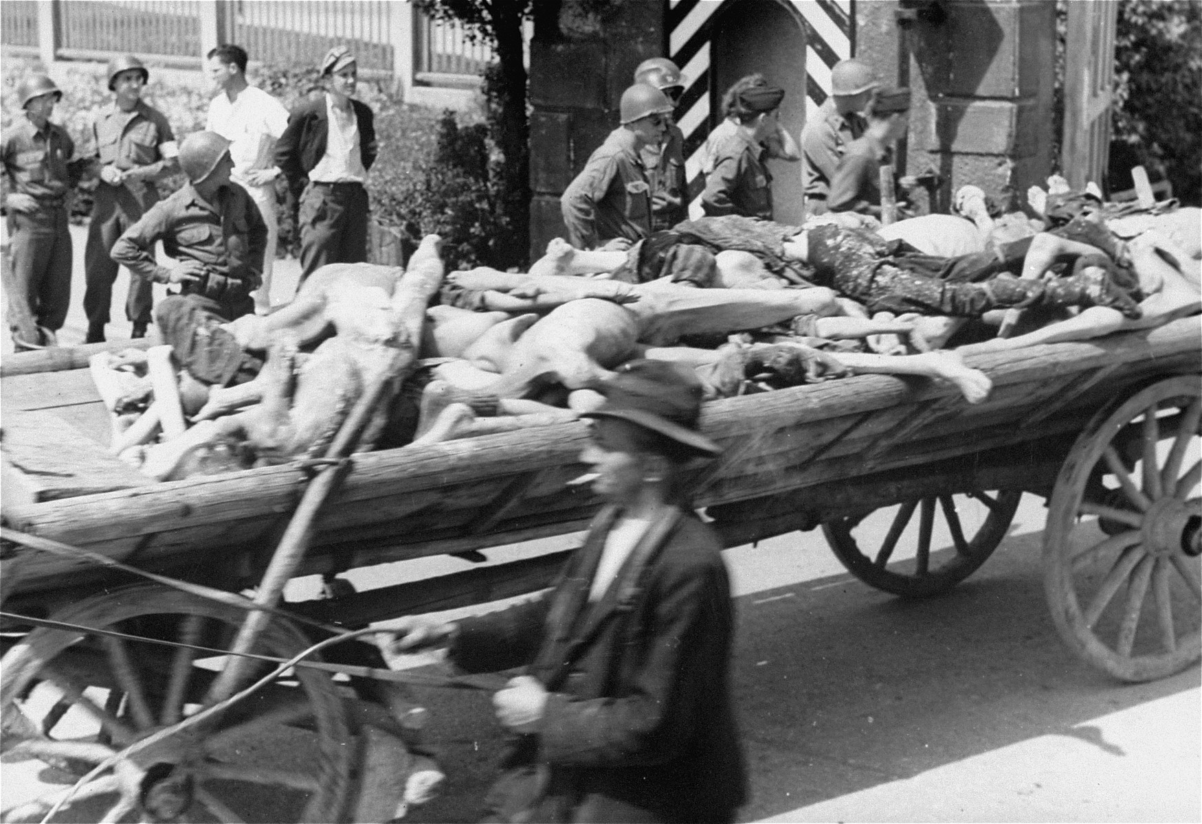 American soldiers watch a passing cart laden with corpses intended for burial leave the compound of the Dachau concentration camp.  Allied authorities required local farmers to drive their loaded carts through the town of Dachau as an education for the inhabitants.