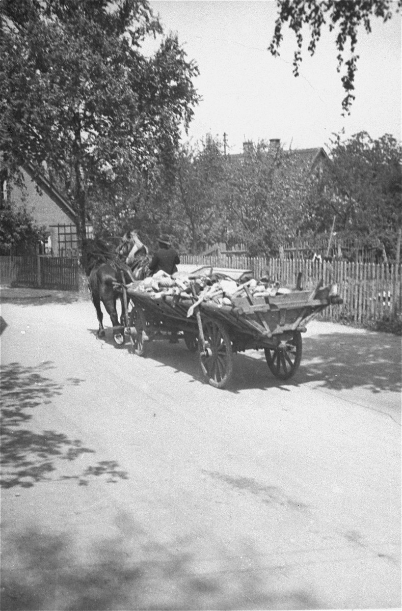 A German civilian transports corpses from the Dachau concentration camp to a nearby mass grave.