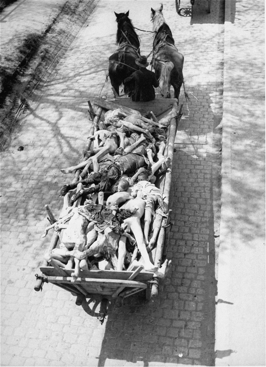 Carts laden with corpses pass through the town of Dachau on route to a nearby burial site.  Allied authorities required local farmers to drive their loaded carts through the town of Dachau as an education for the residents.