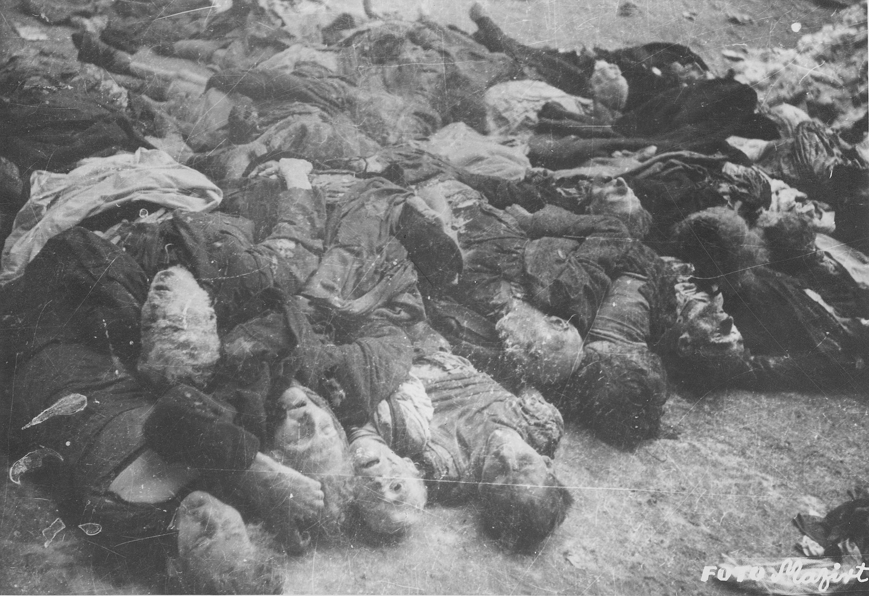 Corpses of Jews in the courtyard of the Dohany Street Synagogue.

During the last few months of the war in Hungary, the Nyilas (Arrow Cross) exploited the anarchic conditions in the areas still under their control to continue their excesses against the Jews.  This was particularly true in Budapest, despite the fact that the Soviet army had completely encircled the city by December 27, 1944.  The reign of terror that had begun with Szalaszi's assumption of power on October 15, 1944, went almost completely unchecked after the beginning of the Soviet siege on December 9.  Gangs of armed Nyilas--mostly teenagers--roamed the city hunting for Jews in hiding.  They searched them out in hospitals, shelters, homes outside the ghetto, in the International Ghetto, and in the large ghetto.  After robbing the Jews of their remaining valuables, the Nyilas shot them on the spot or marched them to the banks of the Danube, where they shot them, and threw their bodies into the river.  A large number of Jews who were murdered in the ghetto were buried in mass graves in the courtyard of the Dohany Street Synagogue.

The most horrific of these attacks occurred on the Pest side of the capital, at the two Jewish hospitals located on Maros and Varosmajor streets.  The Maros Street hospital, which had operated under the protection of the International Red Cross during the German occupation, was attacked on January 11, 1945.  After the initial melee, during which Nyilas gang members wantonly destroyed hospital equipment, threw patients out of their beds and trampled them, and murdered staff members, survivors were ordered to dig a mass grave, remove and bury the bodies.  They were then shot and buried in the grave themselves.  Only one nurse survived of the 92 people that were in the hospital at the time.  Three days later, on January 14, the hospital on Varosmajor Street was attacked, resulting in the deaths of 150 patients and medical staff.  These manhunts and massacres continued unabated until the liberation of Budapest in April.  [R. Braham, "The Politics of Genocide," vol. 2: 995-1007]