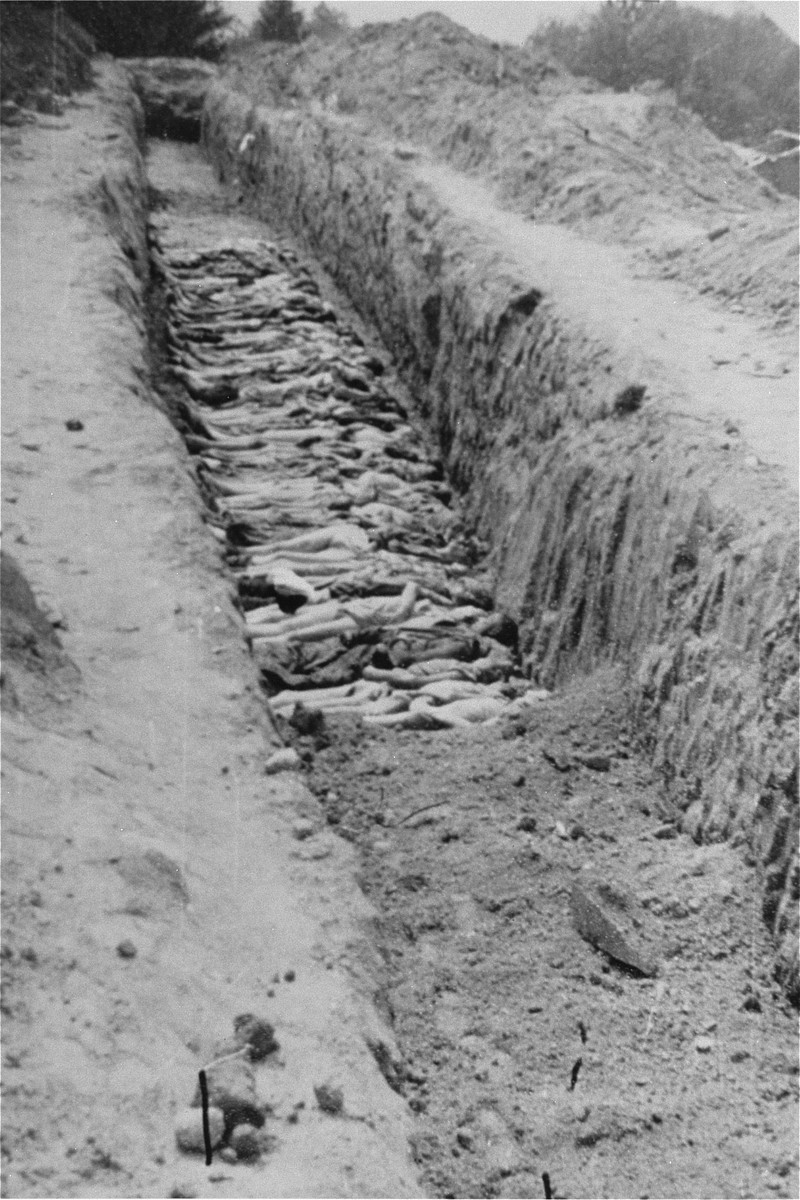 The bodies of former prisoners are laid out in a mass grave at Mauthausen.