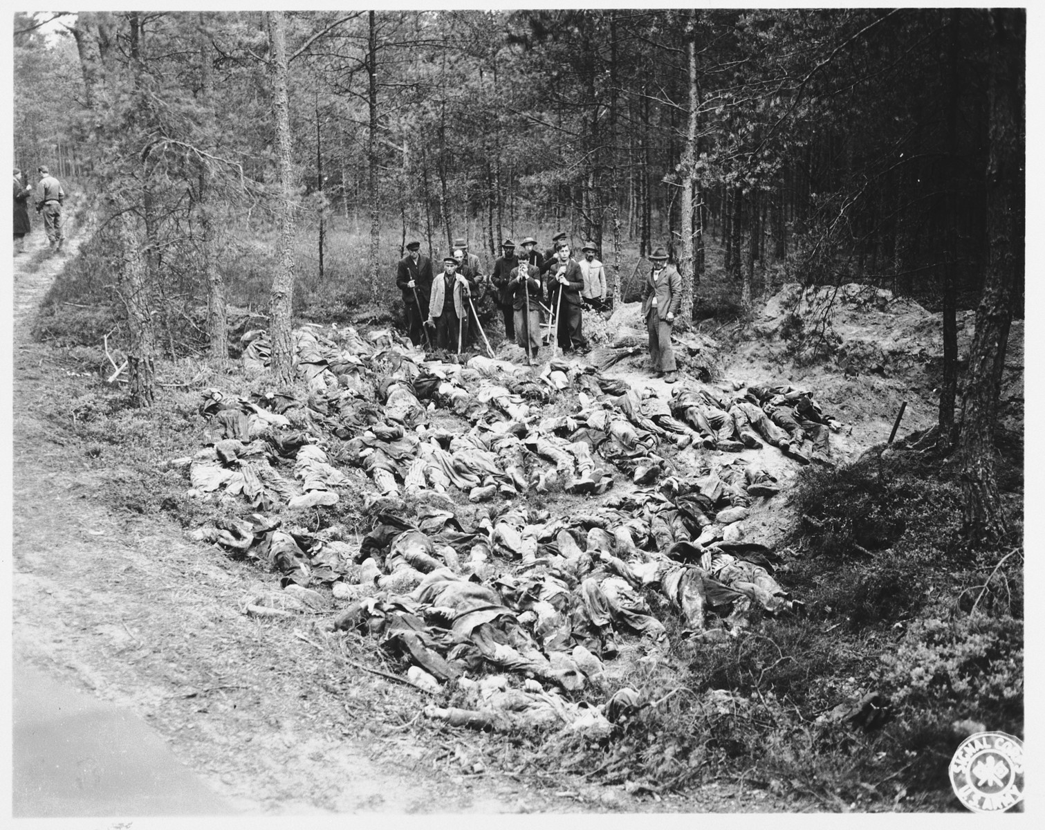 A group of German civilians stand with their shovels among the corpses of Nazi victims they have just exhumed from a mass grave in Stamsried, Germany.

(Photograph taken by the 166th Signal Corps Company.)