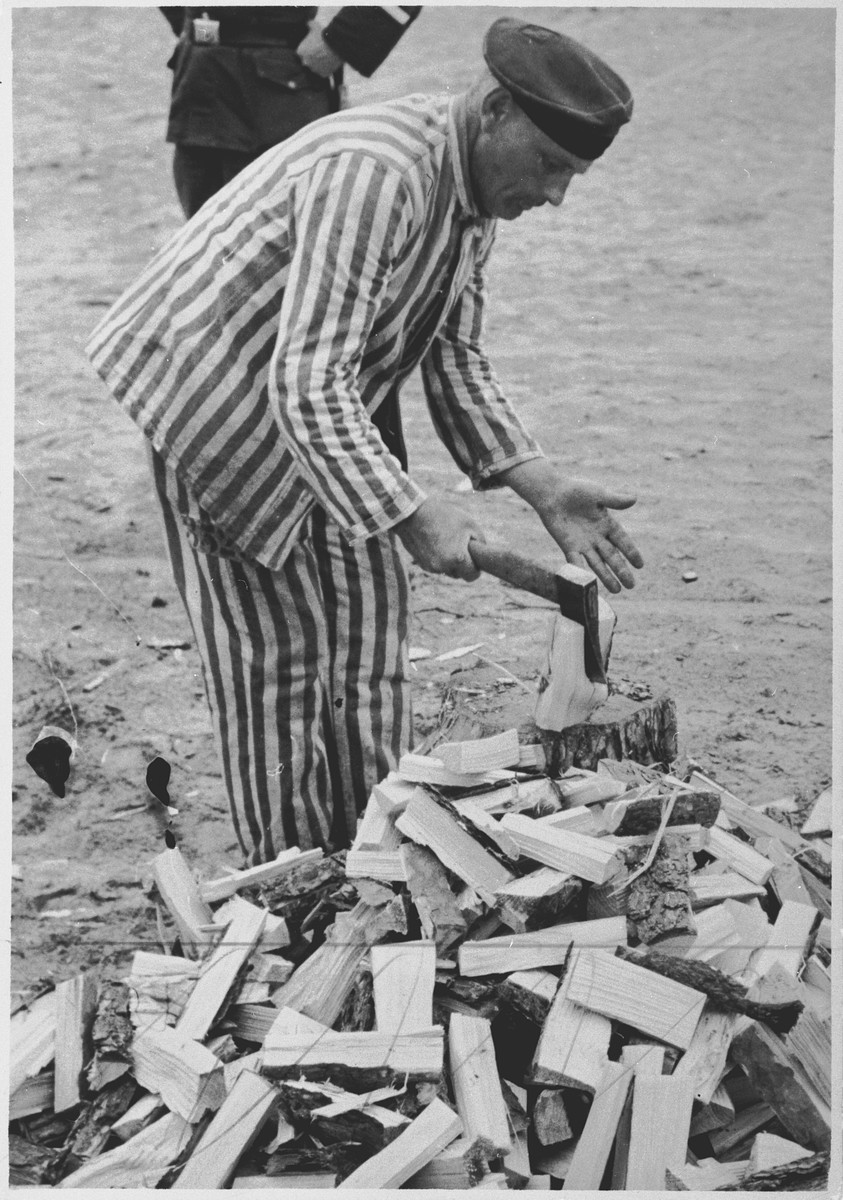 A prisoner at forced labor splits wood in the Sachsenhausen concentration camp.