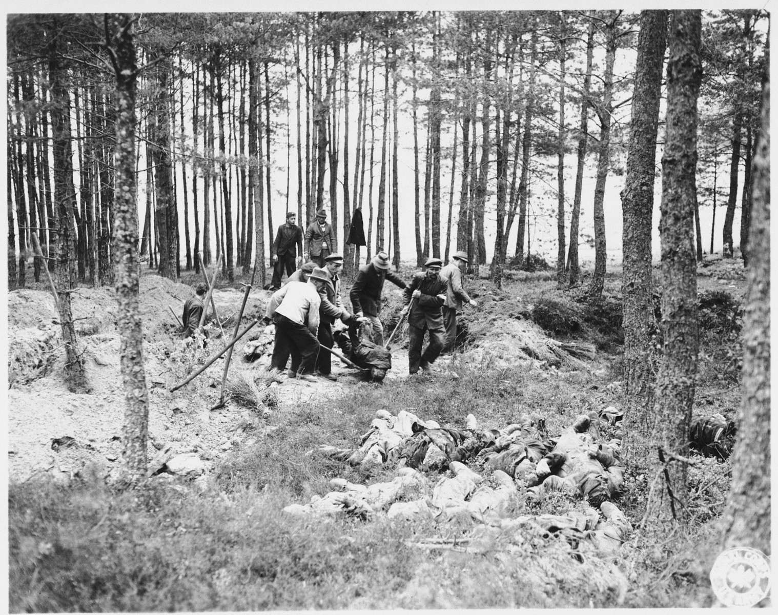 German civilians exhume bodies from a mass grave in Stamsried, Germany.

(Photograph taken by the 166th Signal Corps Company.)