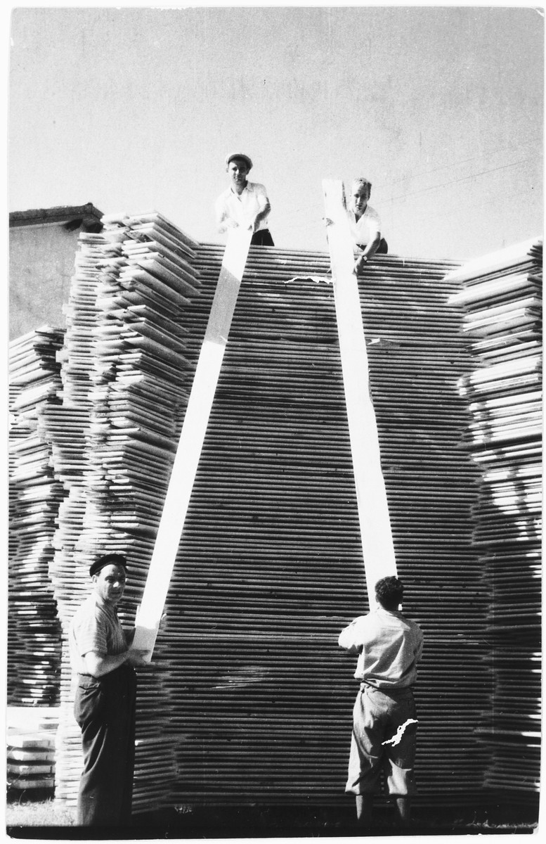 Four young Jewish men at forced labor at a lumber mill in Gorizia, Italy.

Pictured are Marcello Morpugo (top right), Giacomo Donati (top left), Rubin Rothstein (bottom left) and Marcello's cousin, Gaddo Morpugo (bottom right).  Both Giacomo and Gaddo were killed during the war.