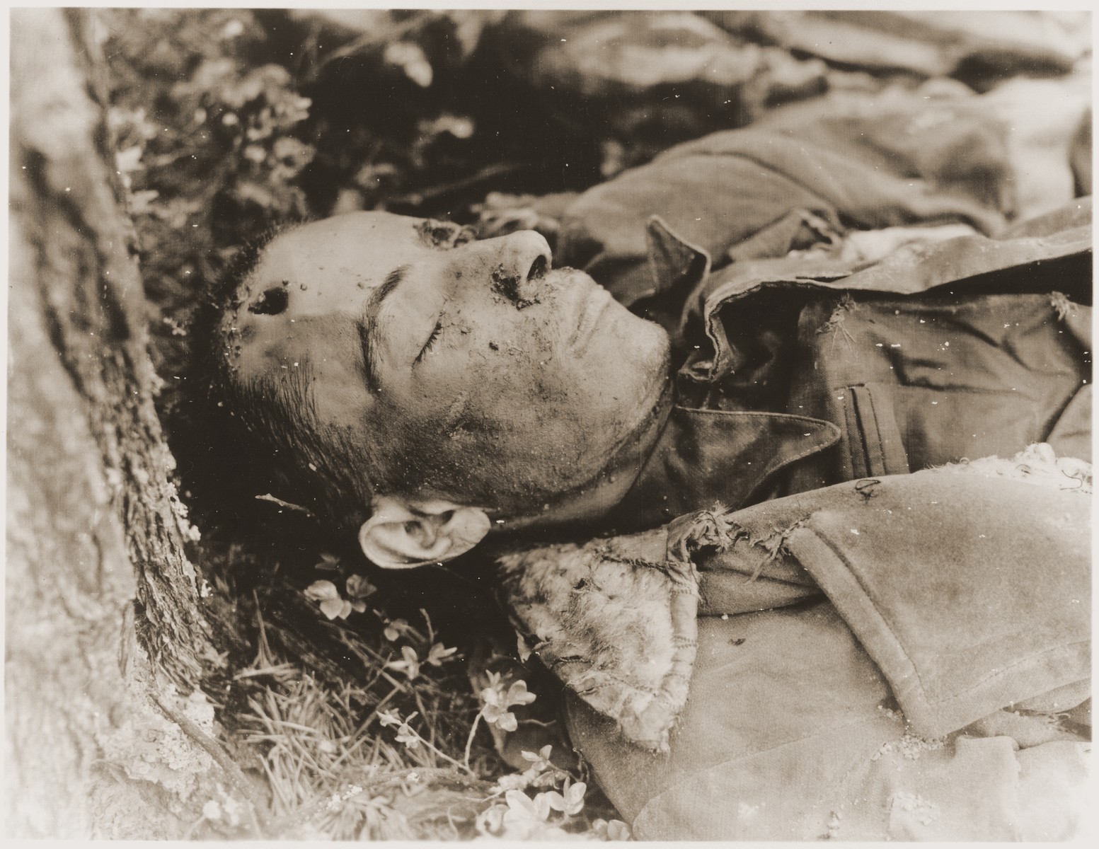 The body of a prisoner found in the woods near Neunburg vorm Wald.  The victim was one of many Hungarian, Polish, and Russian Jews from Flossenbuerg who were shot near Neunburg while on a death march.