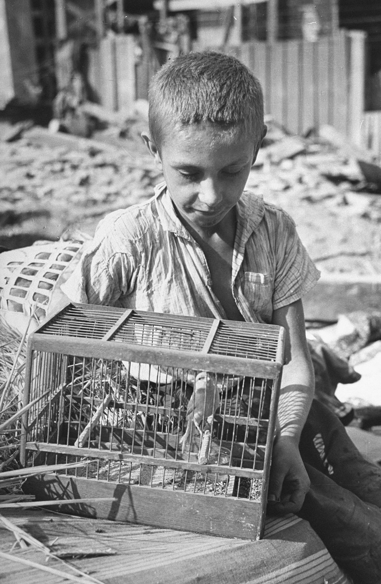 A young boy, Zygmunt Askienow, sits with his rescued pet canary among the ruins of his home in Warsaw after a German air raid.

In the words of photographer Julien Bryan, "Not far from the center of town a bomb had hit an apartment house and exposed the first, second, and third floors.  A boy was walking dazedly back and forth carrying the one possession he had found -- a canary in its cage.  He walked up and down over a pile of stones and bricks.  Under the pile there were nine or ten bodies, so the neighbors told us, not yet recovered." [Source: Bryan, Julien.  "Warsaw 1939 Siege, 1959 Warsaw Revisited."  Warsaw, Polonia, 1959, p. 24]