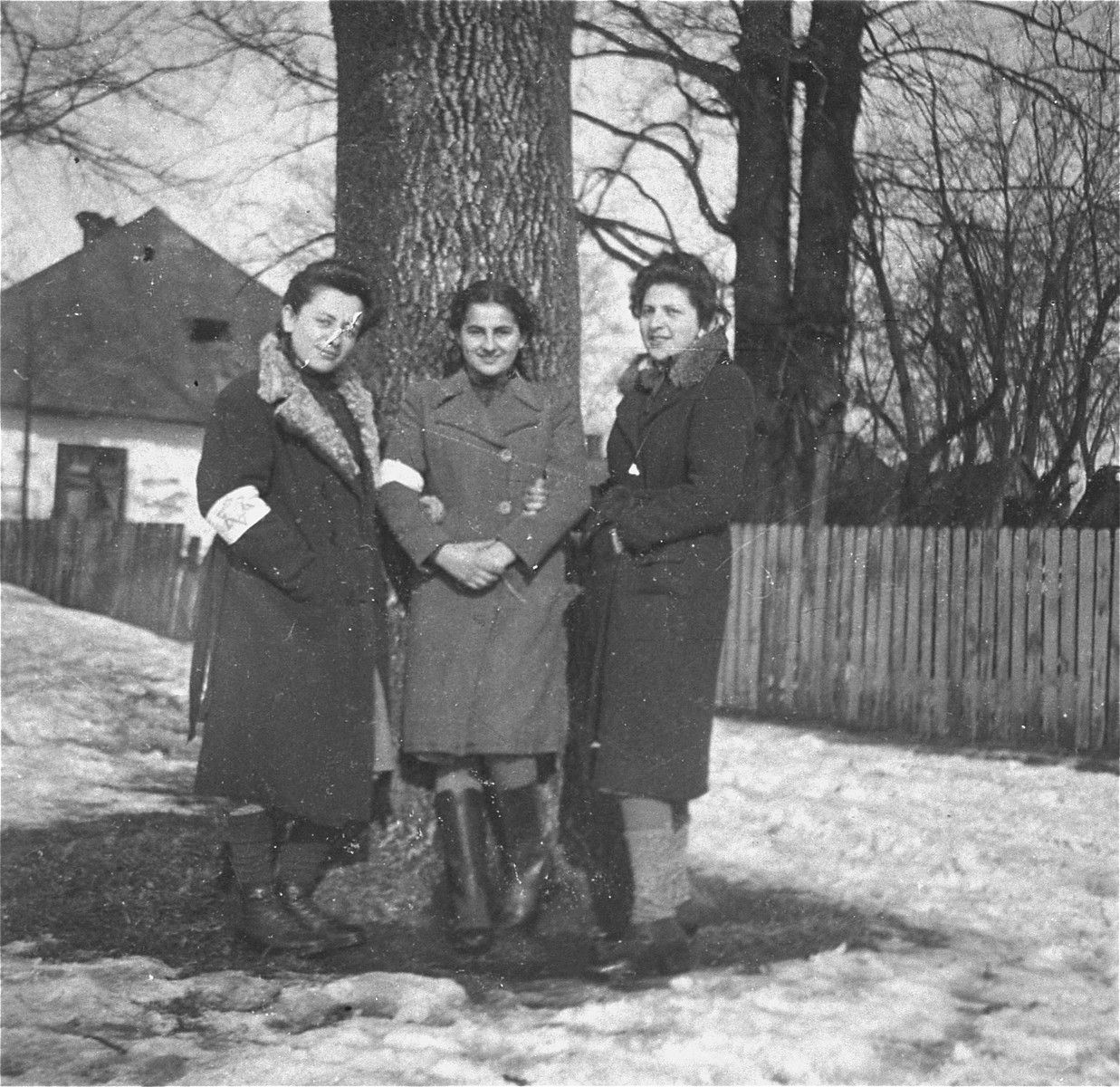 Three young women pose in front of a tree in the Kolbuszowa ghetto.  

Pictured at the right is Niunia Notowicz.