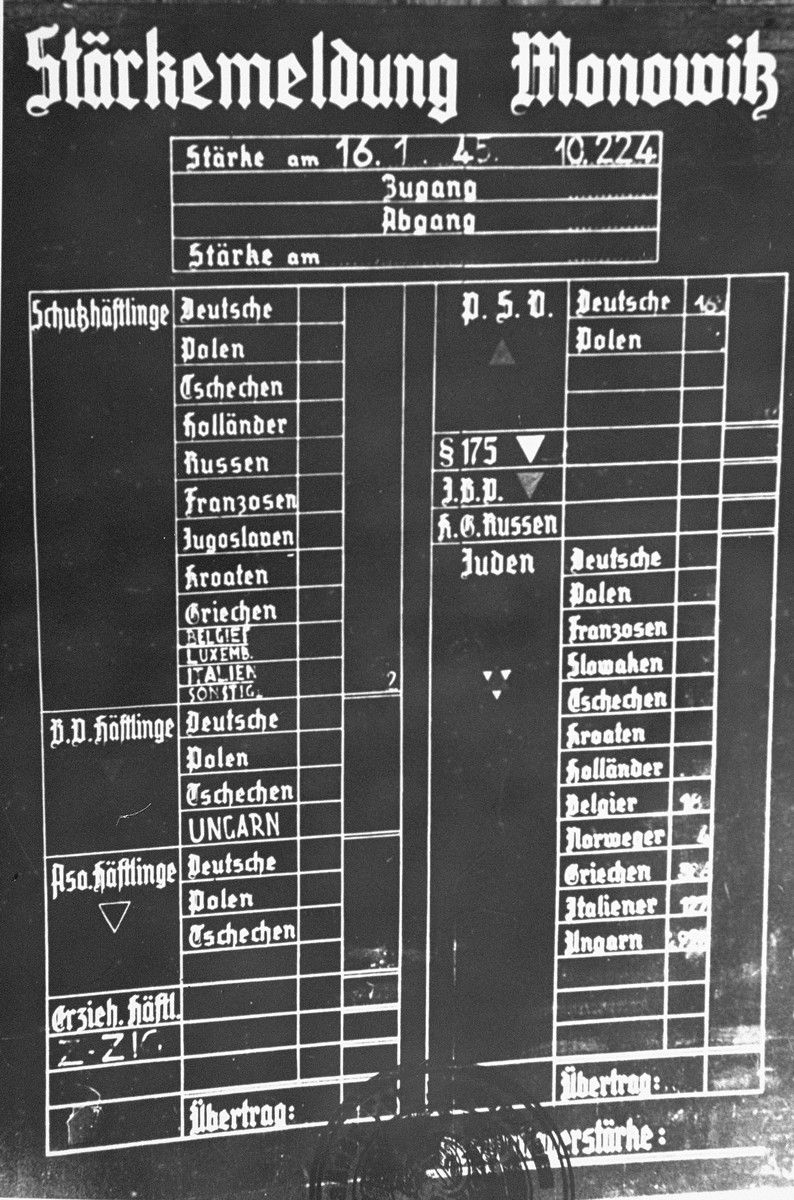 Chart indicating the workforce of the Monowitz camp, categorized by the type and nationality of the prisoners.