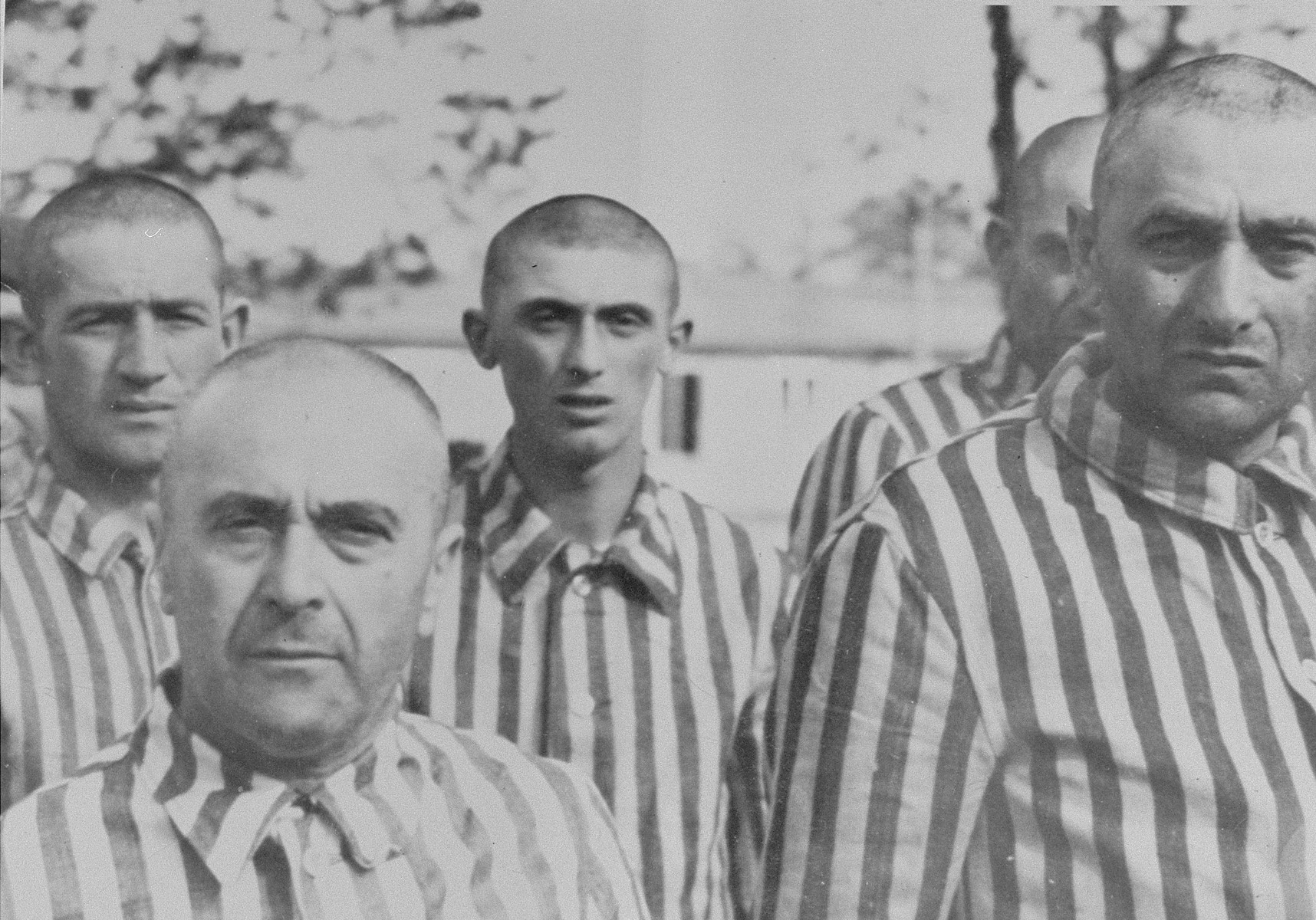Jewish men from Subcarpathian Rus who have been, selected for forced labor at Auschwitz-Birkenau, stand in their newly issued prison uniforms at a roll call. 

Among those pictured is Istvan Balaszo, a pharmacist from Tecso (left).  Next to him is Itzchak Azik Smilovics, and behind them is Moshe Vogel.